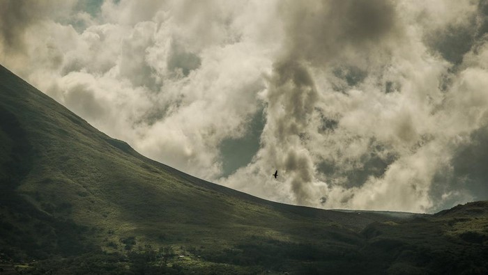 Peningkatan status Gunung Lokon Petugas pos pengamatan gunung api mengamati aktivitas semburan asap putih dari kawah Tompaluan Gunung Lokon di Tomohon, Sulawesi Utara, Kamis (20/7/2023). Pos pengamatan Gunung Lokon Pusat Vulkanologi dan Mitigasi Bencana Geologi (PVMBG) mencatat peningkatan aktivitas seismik Gunung Lokon dalam sebulan terakhir dan menaikkan statusnya dari Level II Waspada ke Level III Siaga serta memberi imbauan kepada pemerintah setempat untuk mengurangi aktivitas manusia di radius 2,5 km dari kawah. ANTARA FOTO/Adwit B Pramono/tom.