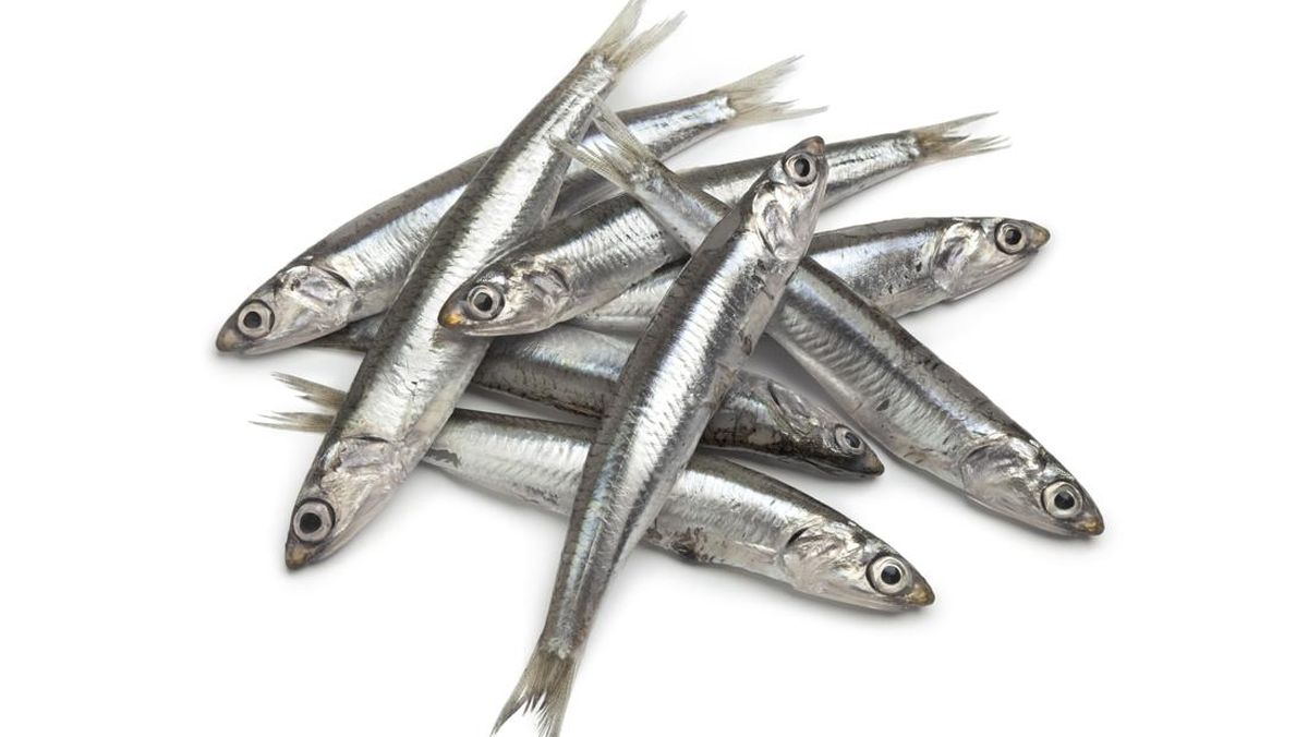 Real Boysning yalangoch yulduzi