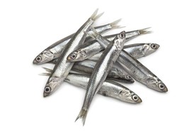 Studi Ungkap Sering Makan Ikan Teri Bisa Bikin Wanita Panjang Umur