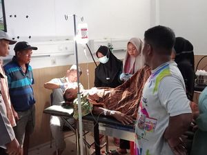 Takut Berkebun, Warga Mersam Minta BKSDA Segera Evakuasi Beruang Buas