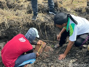 Warga Lamongan Temukan Batu Bata Kuno Saat Cangkul Sawah