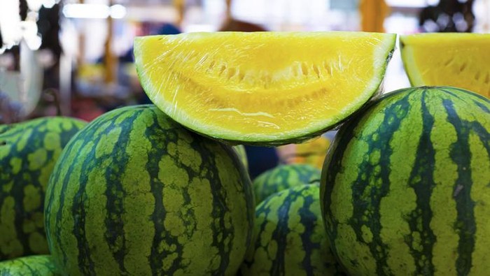 5 Fakta Semangka Kuning yang Tak Kalah Segar dari Semangka Merah