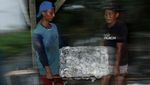 Alih Fungsi Lahan Bikin Produksi Getah Karet Menurun