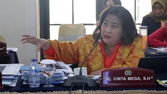Anggota DPRD DKI Jakarta Fraksi PDIP Cinta Mega