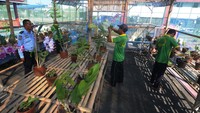 Tampak warga binaan Rutan Kelas IIB Boyolali tengah melakukan budidaya anggrek.  