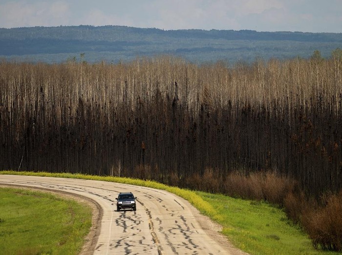 A car drives past scorched trees in the East Prairie Metis Settlement, Alberta, on Tuesday, July 4, 2023. The settlement, whose residents trace their ancestry to European and Indigenous people, lost at least 14 homes during the May wildfire, according to Chair Raymond Supernault. (AP Photo/Noah Berger)