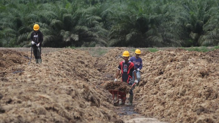 Emiten Bos Maktour Operasikan Pabrik Pupuk, Bisa Produksi 5 Ton/Jam
