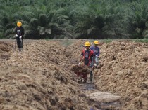 Emiten Sawit Bos Maktour Operasikan Pabrik Pupuk, Bisa Produksi 5 Ton/Jam
