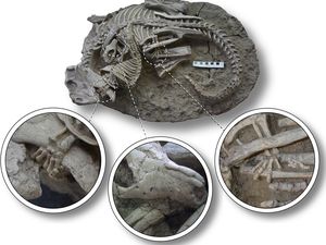 Fakta Baru: Ada Era Saat Dinosaurus Jadi Sasaran Santap Mamalia Kecil