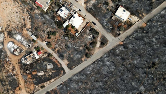 A charred tree is seen as a wildfire burns in Mandra, Greece, July 18, 2023. REUTERS/Alkis Konstantinidis