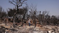 Kebakaran hutan ini disebabkan cuaca panas ekstrem yang melanda Yunani.  
