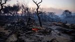 Foto Udara Dampak Kebakaran Hutan di Yunani