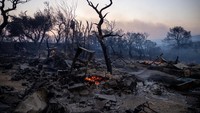 Kebakaran hutan semakin diperparah dengan kondisi cuaca yang panas dan kering.  