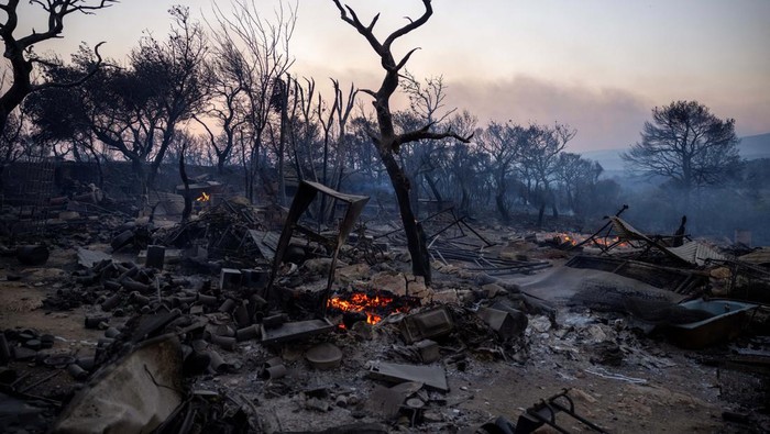 Foto Udara Kebakaran Hutan di Yunani A charred tree is seen as a wildfire burns in Mandra, Greece, July 18, 2023. REUTERS/Alkis Konstantinidis
