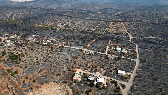 A charred tree is seen as a wildfire burns in Mandra, Greece, July 18, 2023. REUTERS/Alkis Konstantinidis