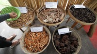 UMKM ini berfokus pada industri fesyen ramah lingkungan atau fesyen berkelanjutan. Mereka mengklaim menjadi satu-satunya di Indonesia yang dapat memproduksi serat eri menjadi benang fabrikasi dan tidak menyisakan bahan atau zero waste.  