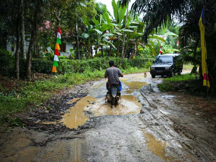 Jokowi Cek Jalan Rusak di Bengkulu, Begini Kondisinya
