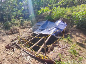 Peneliti: Lubang Misterius di Kulon Progo Kedalamannya 50 Meter!