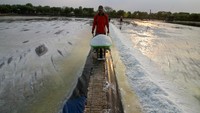 Petambak garam di kawasan tersebut mulai bisa menghasilkan garam meskipun kualitasnya kurang baik akibat cuaca yang tidak menentu.