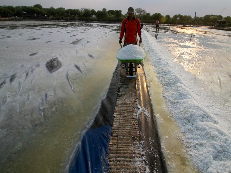Cuaca Tak Menentu, Bikin Kualitas Garam di Sidoarjo Turun