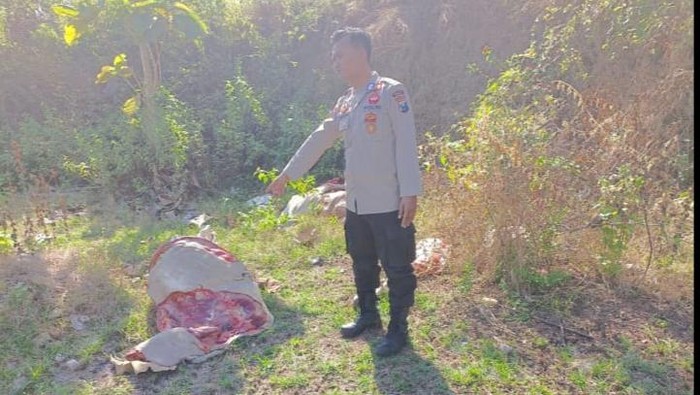 Potongan tubuh sapi yang ditemukan di Tuban