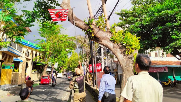Satpol PP Kabupaten Karangasem saat menurunkan bendera Partai PKN yang dianggap arogan yang ada di Jalan Untung Surapati, Amlapura Jumat (21/7/2023).