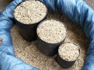Cicipi Kuliner Tipa-tipa, Sereal ala Batak Yang Nikmat