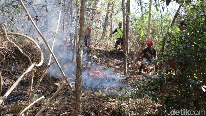Warga berusaha memadamkan kebakaran hutan di Ponorogo.