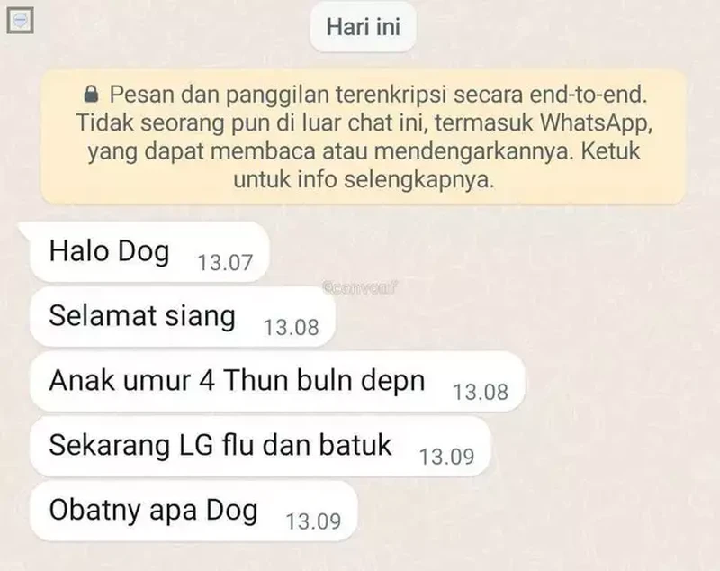 Kadang, karena sudah terlalu bersemangat, chat yang dikirim jadinya typo. Siapa nih yang sering typo?