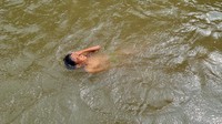 Warna air yang keruh tak menyurutkan semangat mereka untuk berenang. 