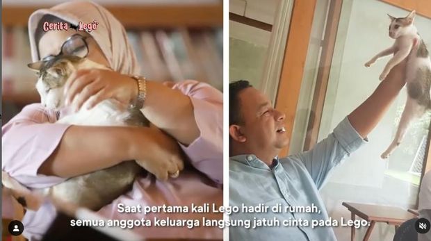 Fery Farhati Rilis Buku Tentang Kucing Difabel Fery Farhati Rilis Buku Tentang Kucing Difabel