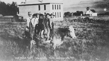 Seekor Sapi Membawa Tujuh Anak “Ke Sekolah”. Washington, 1907 Foto: Facebook/OldPhotos1
