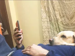 Hati-hati Terkecoh! Lihat Foto Ini Jangan Sekilas