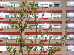 Hati-hati Terkecoh! Lihat Foto Ini Jangan Sekilas