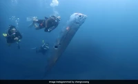 Ikan Oarfish