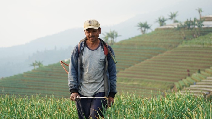 Ilustrasi Petani