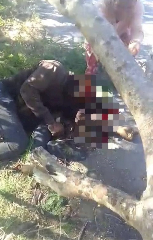 Jekson Tamonob warga RT 14, RW 07, Desa Tuapukan, Kecamatan Kupang Timur, Kabupaten Kupang, NTT tewas ditimpa pohon jati putih pada Jumat (21/7/2023). (Dok. Humas Polres Kupang).