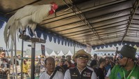 Gubernur Jawa Barat Ridwan Kamil (tengah) berdialog dengan seorang kontestan saat menyaksikan ayam sentul yang dipamerkan pada Kontes Ternak Jawa Barat 2023 di Bumi Perkemahan Kiara Payung, Sumedang, Jawa Barat, Sabtu (22/7/2023).  