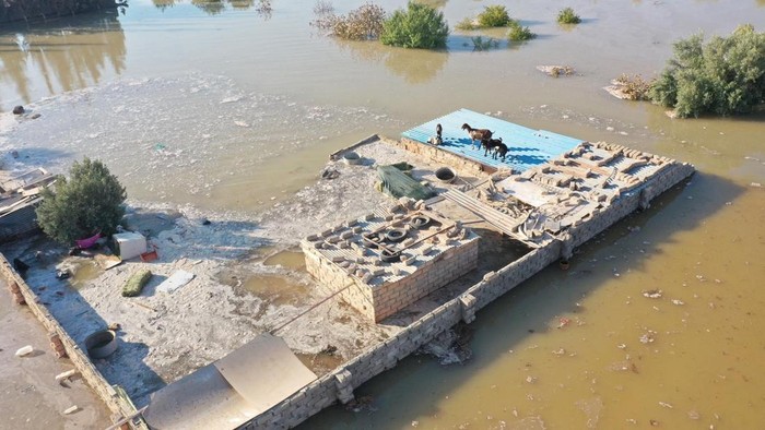General view of homes, farms and cars after a flood, caused due to damage to a large pipeline that caused a leak, in Ajdabiya, Libya, July 20,2023. Libya Al HADATH/Handout via REUTERS    THIS IMAGE HAS BEEN SUPPLIED BY A THIRD PARTY
