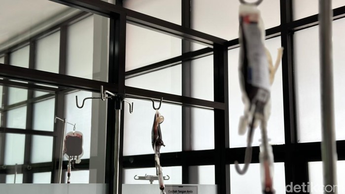 Hasil Skrining di DKI: 5,6 Persen Anak Sekolah Ternyata Pembawa Sifat Thalasemia