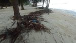 7 Potret Abrasi di Pulau Pari, Dulu Berdiri Kokoh Kini...