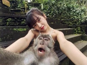 Viral Yujin IVE Foto Bareng Monyet Ubud, Tak Takut Berpose Imut