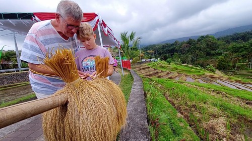 Sejumlah wisatawan asing memperhatikan padi beras merah yang dipajang di pintu masuk jalur menuju Jatiluwih Space bersamaan dengan pembukaan Festival Jatiluwih IV, Sabtu (22/7/2023).