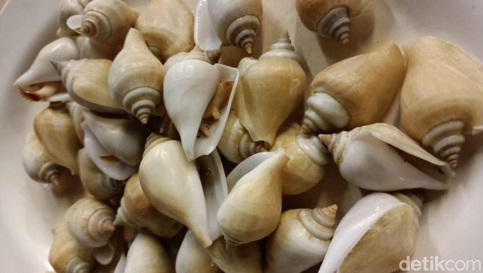 Gonggong, seafood yang wajib dicoba saat berkunjung ke Batam. (Alamudin Hamapu/detikSumut)