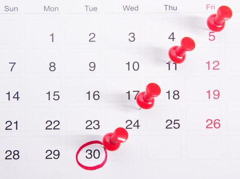 ilustrasi kalender