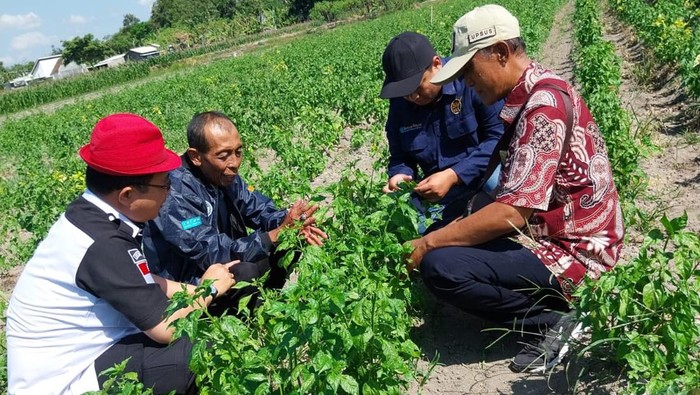 Kementan validasi EWS Sipantara