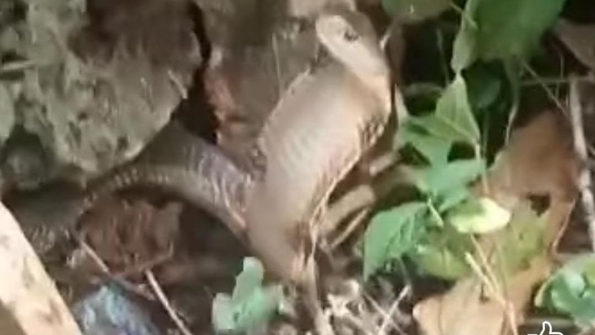 Mening ayolim kunnilingusni yoqtirmaydi.