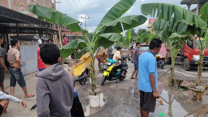 Warga Sidrap Tanam Pohon Pisang Di Jalan Provinsi Sudah 3 Tahun Rusak Parah 1690