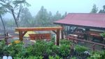 Ingin Kemping di Taman Nasional, tapi Nuansa Kafe Kekinian... Datang ke Jambi