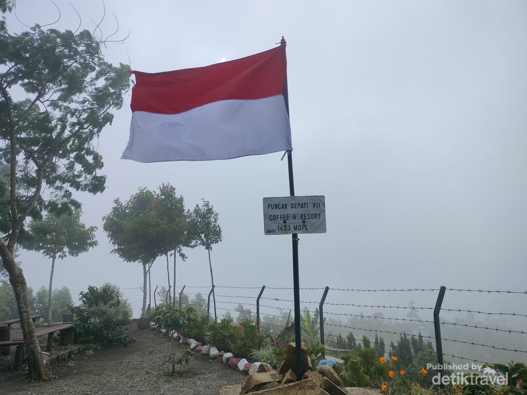 Puncak Depati VII Coffee